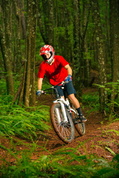 Mountain Biker Riding Down Forest Trail