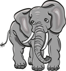 vector illustration of an elephant