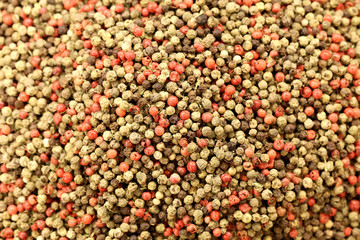 multi colored pepper