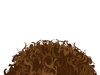 Top of head with brown curly hair on white background. Empty space fot your text. Vector illustration. - obrazy, fototapety, plakaty