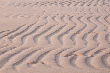Sand Texture