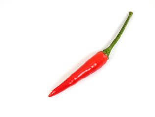 Hot red chili/Hot red chili on white background.