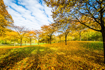 Herbstzeit