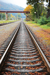 Fototapeta premium Railway track over green trees background
