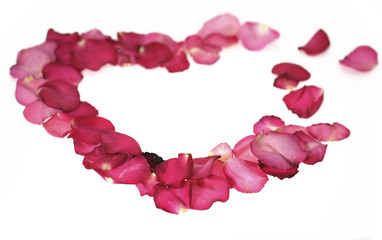 Broken heart/Broken heart of red rose petals isolated on white background.