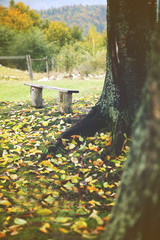 Old wooden bench in mountains