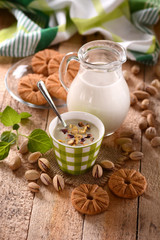 yogurt al pistacchio fatto in casa con ingredienti intorno
