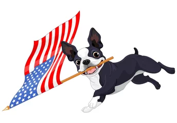 Muurstickers Boston Terrier Running Flag © Anna Velichkovsky