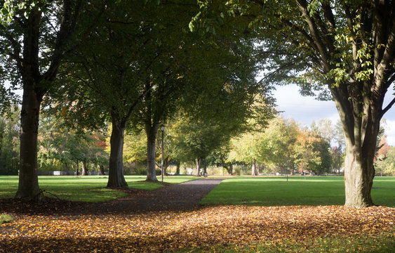 Early Fall At Alton Baker Park