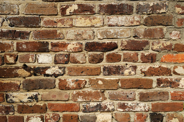 brick wall