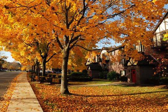 residential area in autumn color