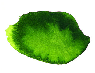 green abstract watercolor background design