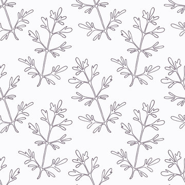 Hand drawn ruta or rue branch outline seamless pattern