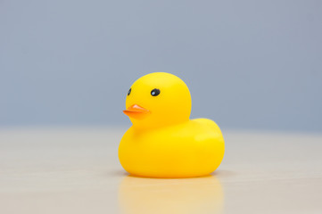 Yellow Rubber Duck isolated on the desk