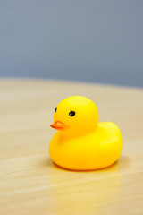 Yellow Rubber Duck isolated on the desk