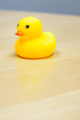 Yellow Rubber Duck isolated on the desk