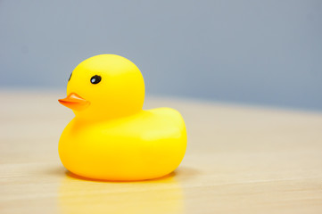 Yellow Rubber Duck isolated on the desk