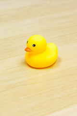 Yellow Rubber Duck isolated on the desk