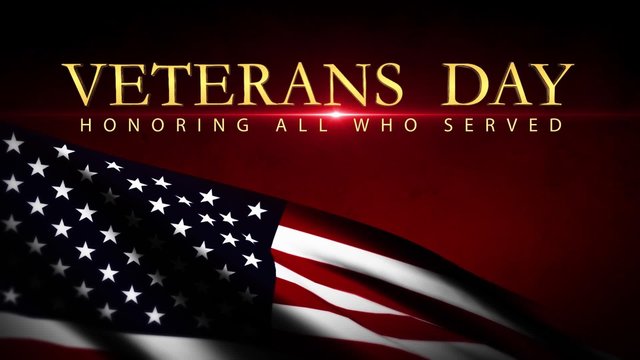 Veterans day USA flag background, Honoring all who served america states