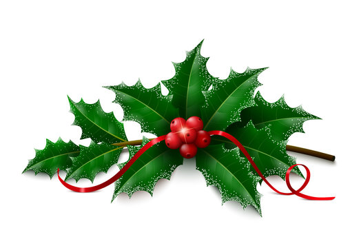 Christmas Holly Images – Browse 420,086 Stock Photos, Vectors, and Video