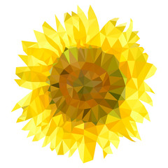 triangulation sunflower