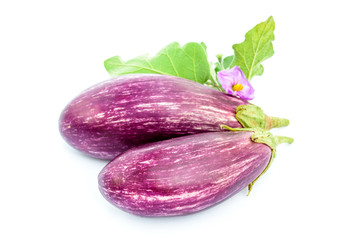 Two eggplants isolated on the white background