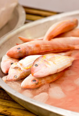 Ornate Threadfin Bream fish in market.