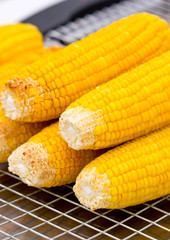 Fresh golden yellow corn roasted on a grill.
