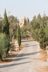 Road in the Valley of the Cross, Jerusalem, Israel