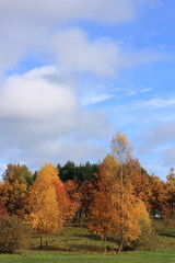 Naklejka premium Autumn