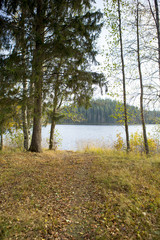 A beautiful landscape during autumn time in Finland. A path is going to a lake. Image taken during cloudy day in the autumn.