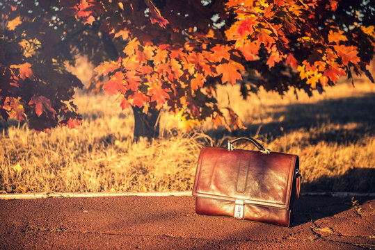 A Leather Briefcase Forgotten In The Autumn Park