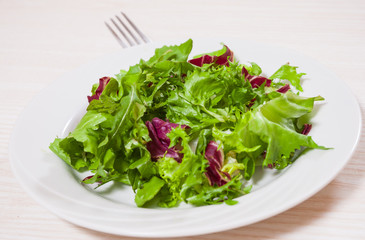 fresh mixed salad leaves