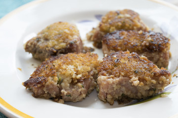 steaks of breaded tuna