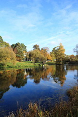 Fototapeta na wymiar Autumn at the pond