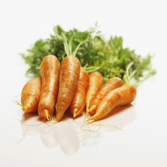 Freshly harvested organic carrots.