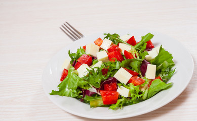 Fototapeta na wymiar fresh vegetables salad with cheese