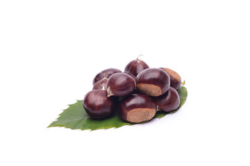 Chestnuts on white background