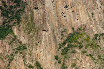 close-up view of geological patterns and tectures with flora at the side of the mountain