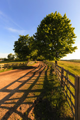 rural road . wooden fence