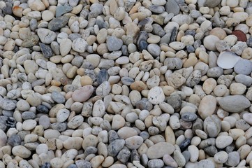 Small rocks 