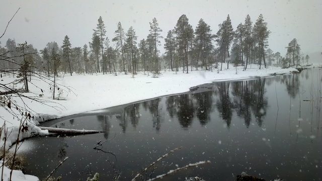 First snow . Dense big snow falls over forest and river
