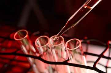 Pipette adding fluid to one of several test tubes