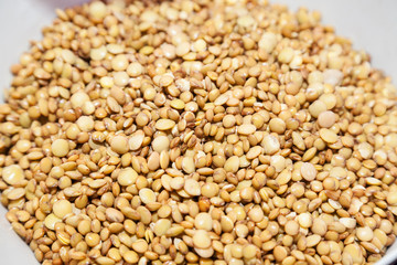 Closeup of soaked soft lentil with selective focus
