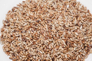 Closeup of fried sunflower seed kernels