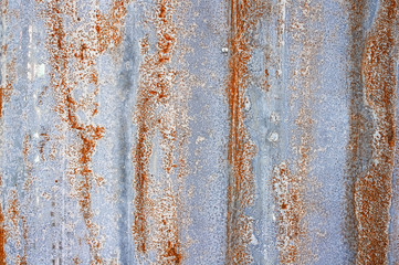 Rusty old corrugated iron or galvanized iron background