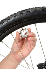 bike wheel truing and maintenance