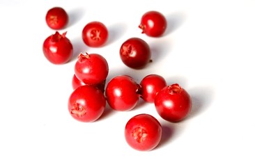 placer of delicious berries cranberries or cowberries lies on a white background
