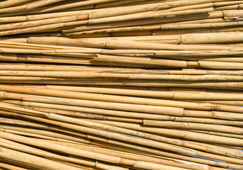 New cane wall closeup