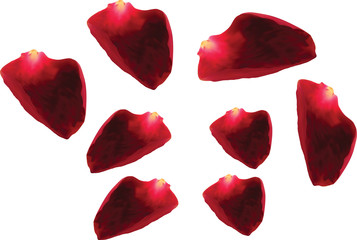 Background with Rose petals for your design